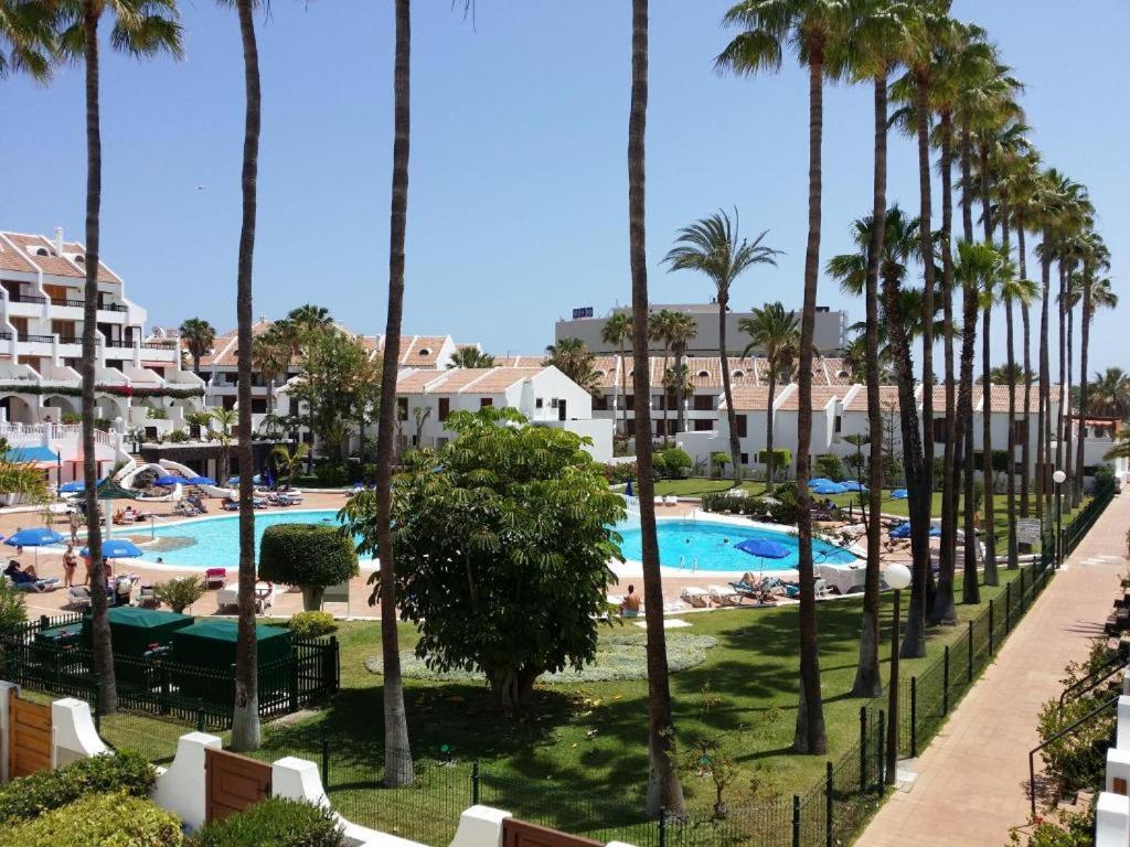 Estudio En Tenerife Sur, Parque Santiago 2 Арона Экстерьер фото